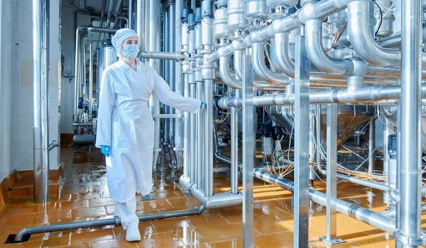 Зоологи МГУ назвали новый вид моллюсков «Чудо человечное»