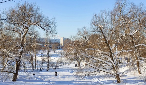 Синоптик Леус: Начало текущего февраля может стать самым холодным в XXI веке