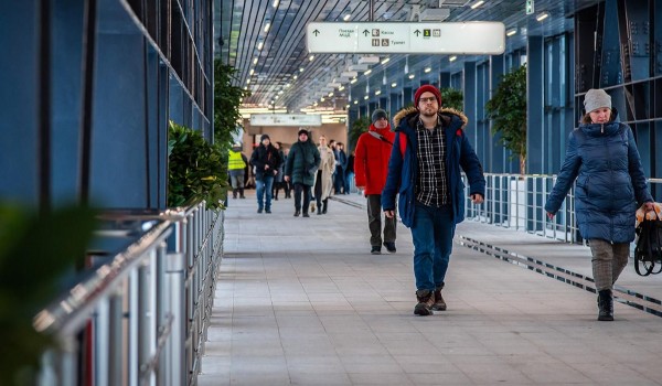 Более 220 вентиляционных шахт коллекторов обновят в Москве до конца года