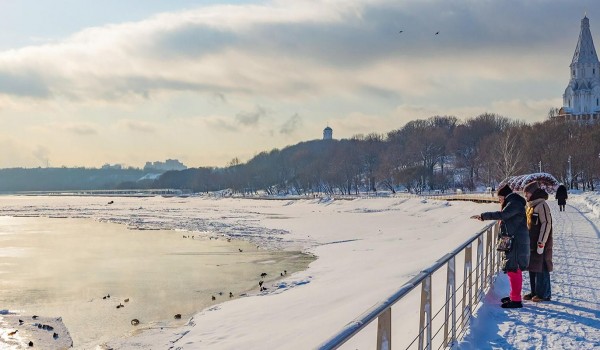 Облачная погода и до 11 градусов мороза ожидаются в Москве 9 февраля
