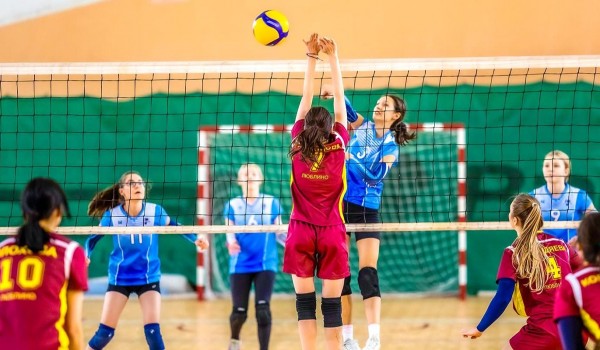 Около 200 тыс. человек занимаются волейболом в Москве