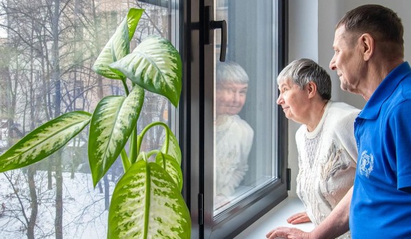 Жители более чем 200 домов завершили оформление документов на квартиры по программе реновации в 2025 году