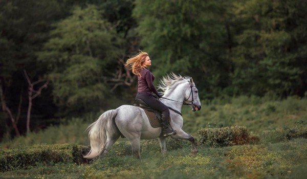 Специалисты госветслужбы рассказали, как в столице ухаживают за лошадьми