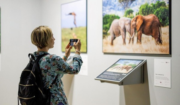 Участники «Активного гражданина» выберут талисман фестиваля «Золотая черепаха»