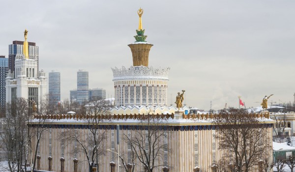 День русского богатыря отметят на ВДНХ 20 февраля