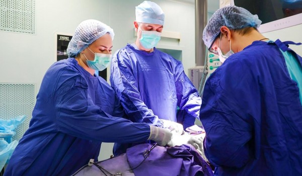 Москва стала лидером по количеству заявок на образовательную программу для руководителей здравоохранения