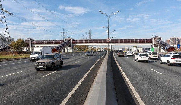 Капитальный ремонт 28 надземных пешеходных переходов запланирован в Москве