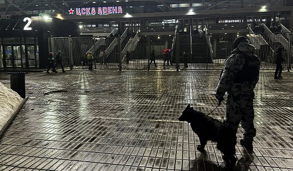 Правопорядок на хоккейном матче в Москве обеспечила Росгвардия