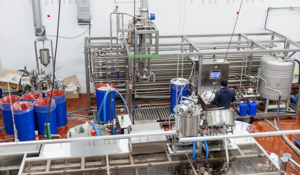 Московская компания увеличила производство ягодного пюре благодаря федпроекту