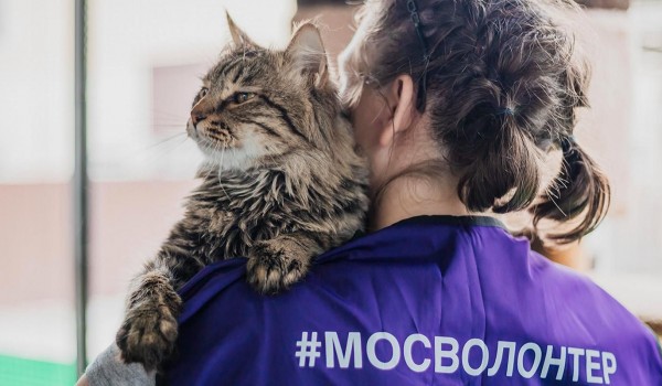 Сбор помощи для животных из приютов Белгородской области открылся в столице