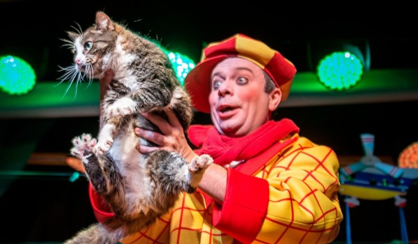 Спасенная из зоны СВО кошка Глуша дебютировала в спектакле Театра Куклачева