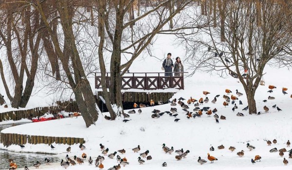 Облачная погода и до 3 градусов тепла ожидаются в Москве 8 марта